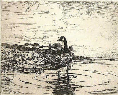 Canada Goose by Frank Weston Benson - Davidson Galleries