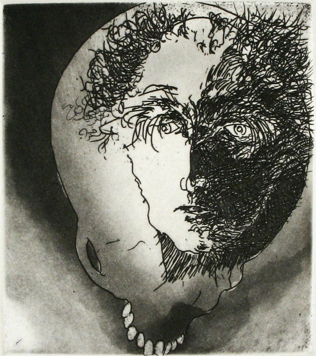 Lens Suite (Portfolio of 9 etchings) by Frank Boyden - Davidson Galleries