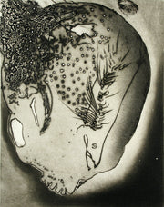 Lens Suite (Portfolio of 9 etchings) by Frank Boyden - Davidson Galleries