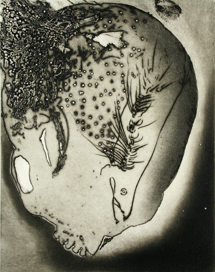 Lens Suite (Portfolio of 9 etchings) by Frank Boyden - Davidson Galleries