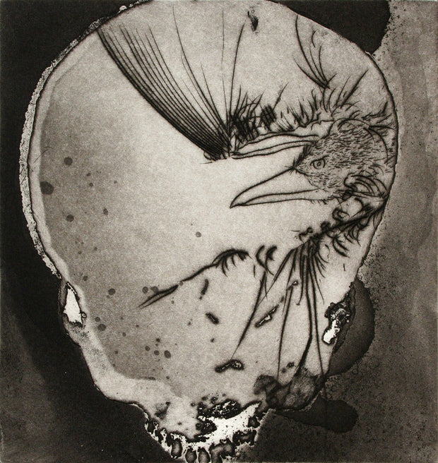 Lens Suite (Portfolio of 9 etchings) by Frank Boyden - Davidson Galleries