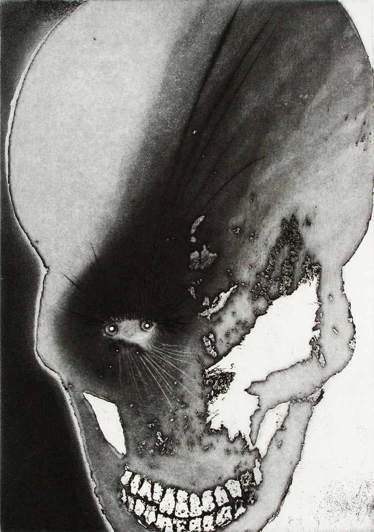 Lens Suite (Portfolio of 9 etchings) by Frank Boyden - Davidson Galleries