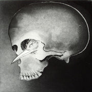 Lens Suite (Portfolio of 9 etchings) by Frank Boyden - Davidson Galleries