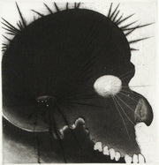 Lens Suite (Portfolio of 9 etchings) by Frank Boyden - Davidson Galleries