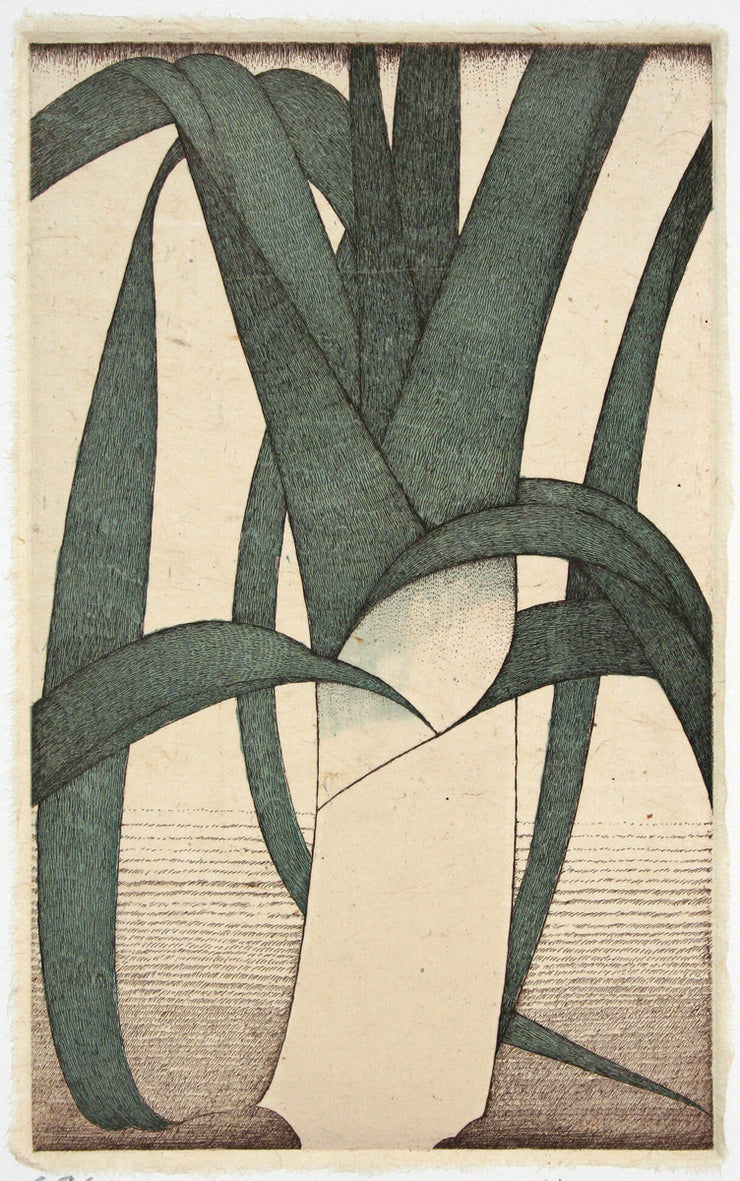 Leek #2 by Art Hansen - Davidson Galleries