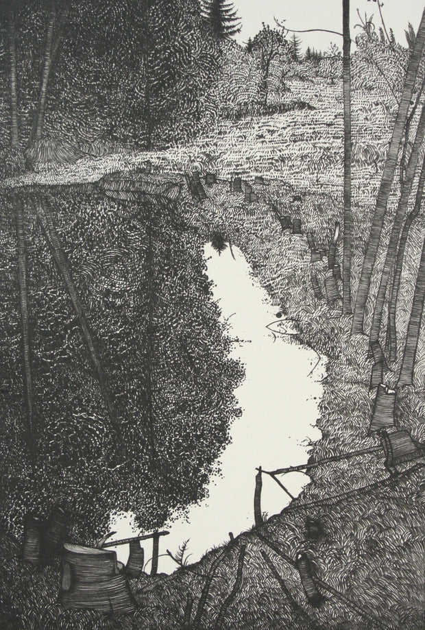 The Pond - Sept. 1980 #1 by Art Hansen - Davidson Galleries