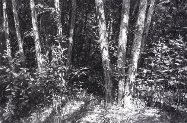 Trees Near Upright Channel; Lopez Island by Michael Kareken - Davidson Galleries
