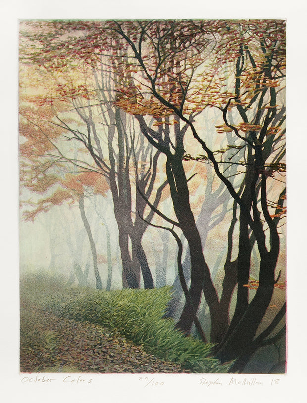 October Colors by Stephen McMillan - Davidson Galleries