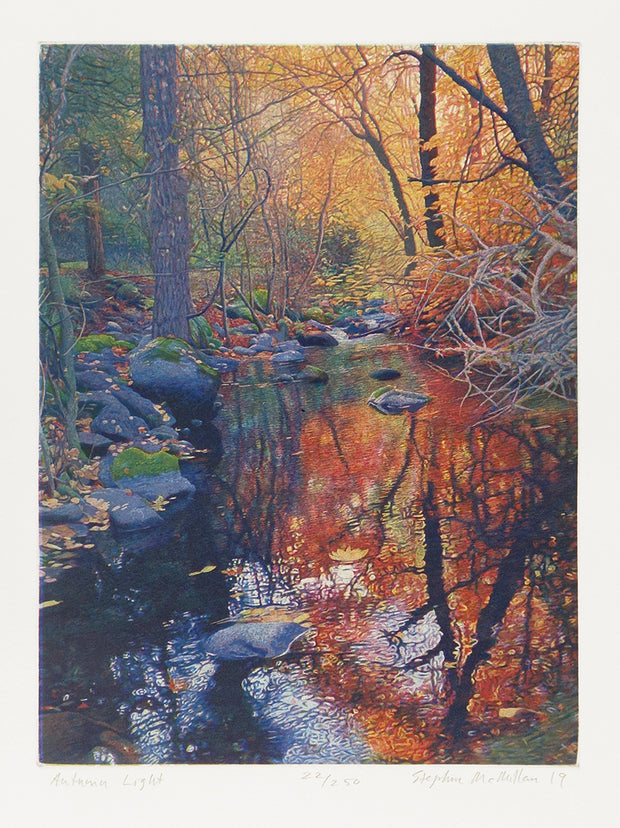 Autumn Light by Stephen McMillan - Davidson Galleries