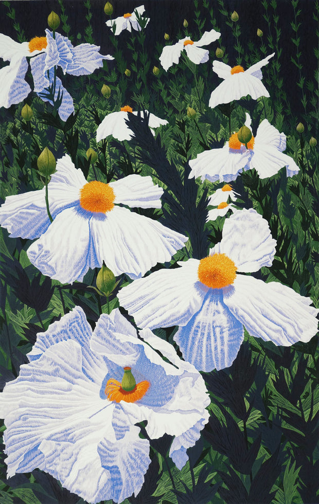 Matilija Poppies by Gordon Mortensen - Davidson Galleries