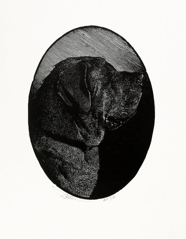Jack the Dog by Barry Moser - Davidson Galleries