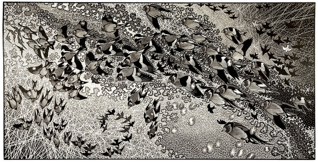 Charm of Goldfinches by Colin See-Paynton - Davidson Galleries