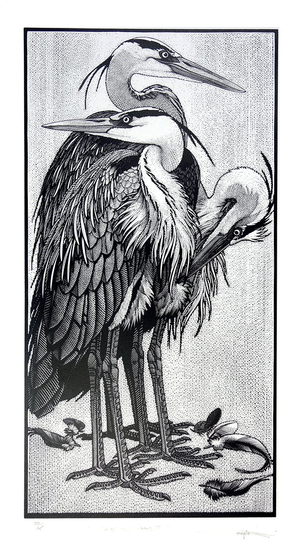 Siege of Herons II by Colin See-Paynton - Davidson Galleries