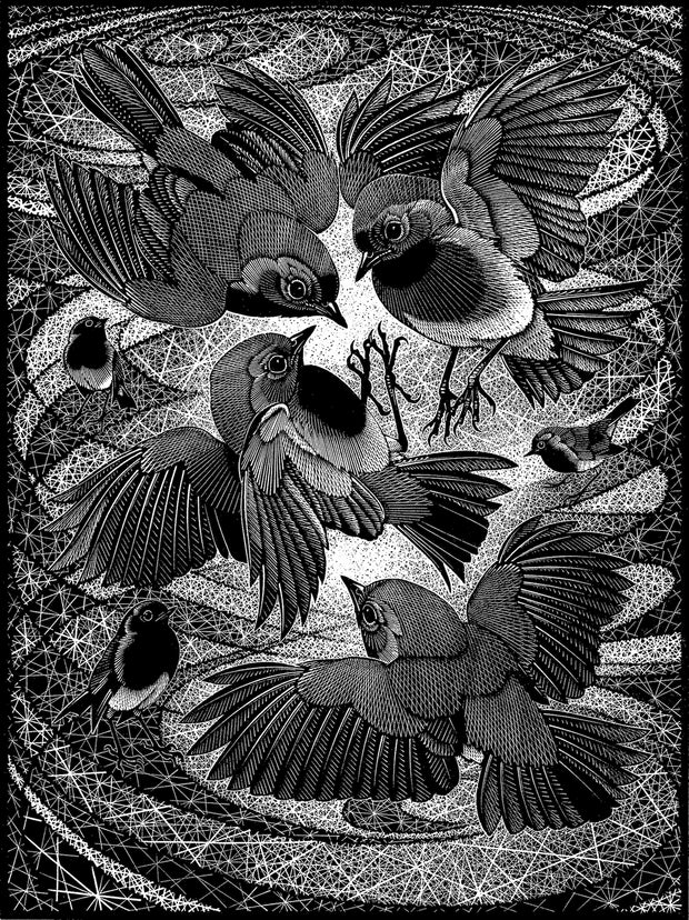 Irascibility of Robins by Colin See-Paynton - Davidson Galleries