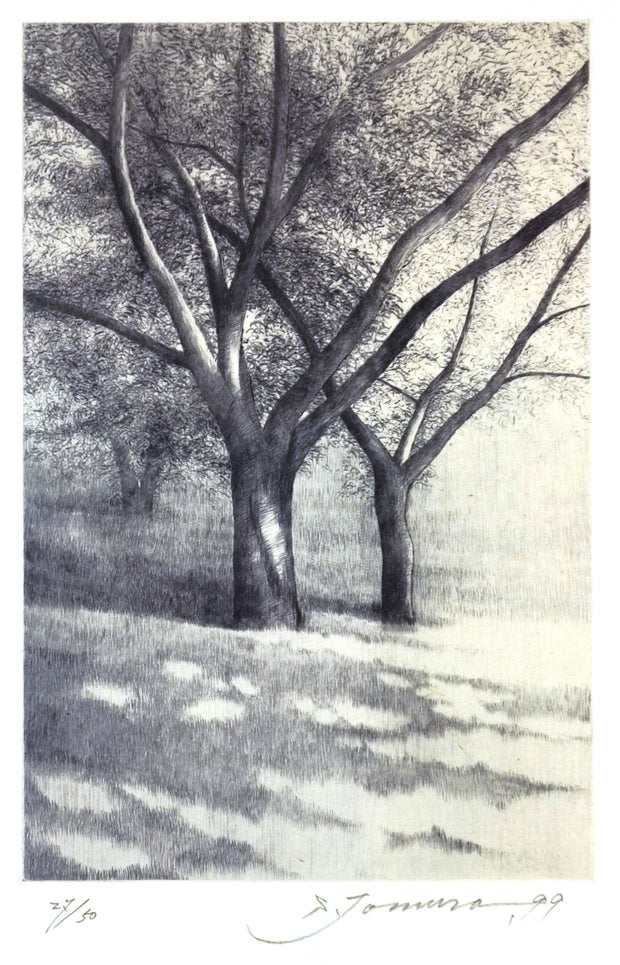 Shadows, in Summer II by Shigeki Tomura - Davidson Galleries