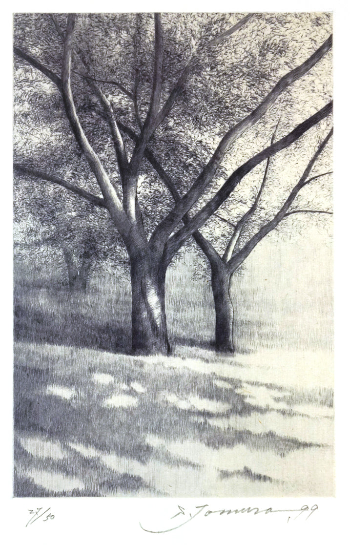 Shadows, in Summer II by Shigeki Tomura - Davidson Galleries