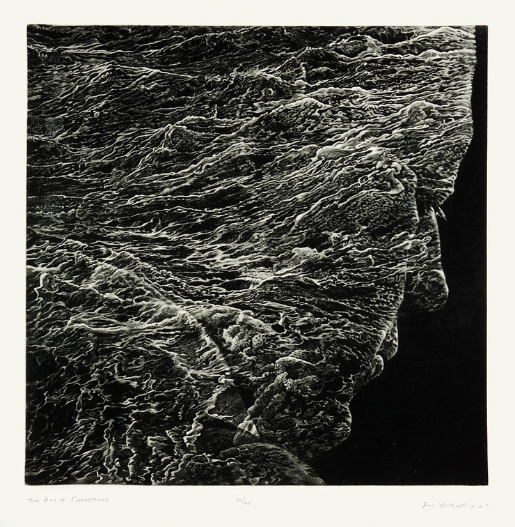 The Act of Forgetting by Art Werger - Davidson Galleries
