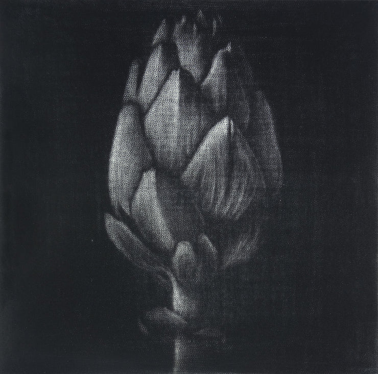 Artichoke by Cleo Wilkinson - Davidson Galleries